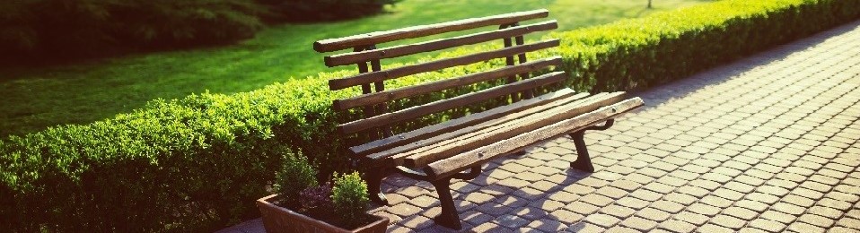 bench